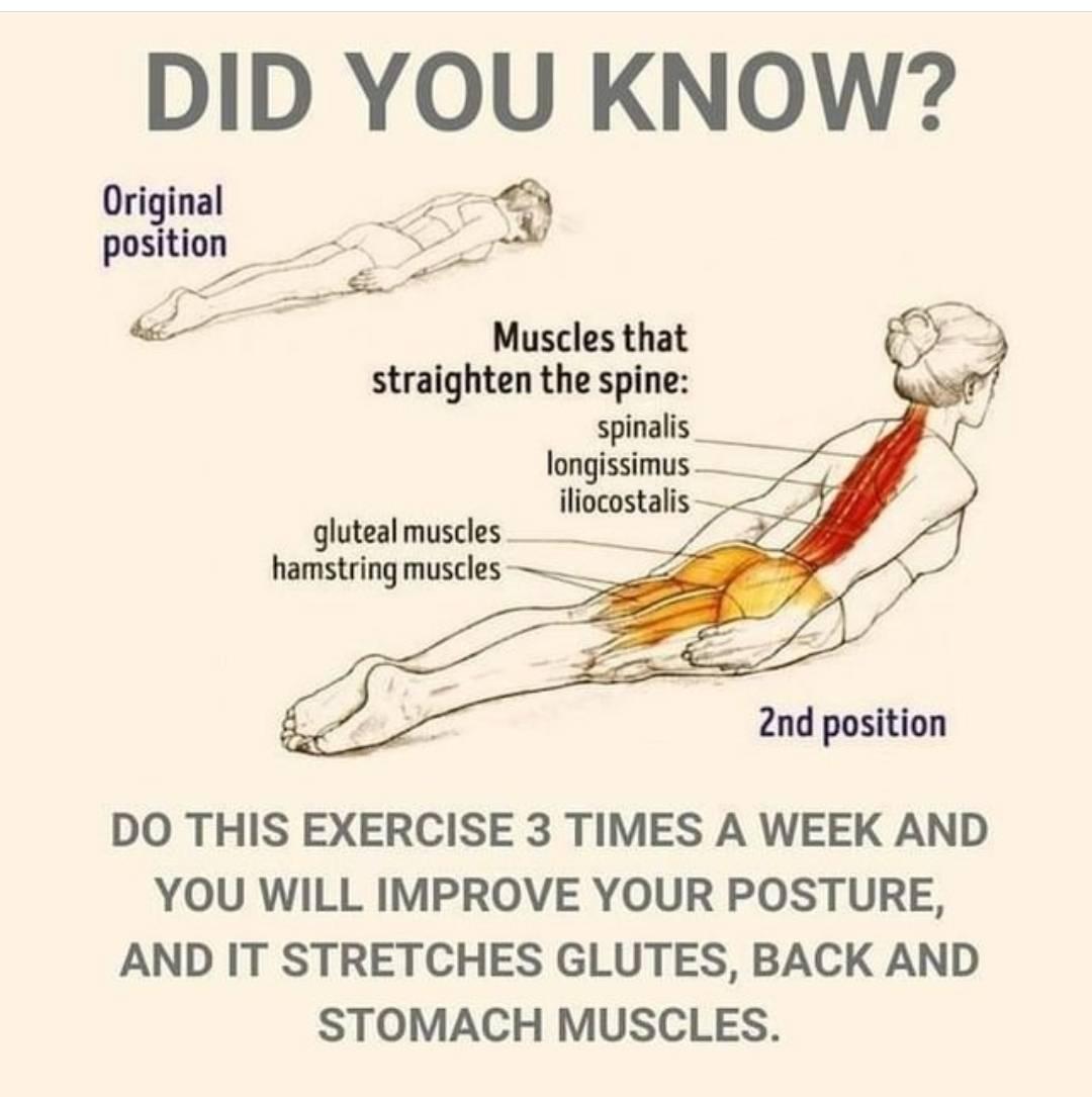 backpain exercise